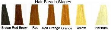 Hair Bleach Stages